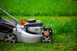 reliable lawn care