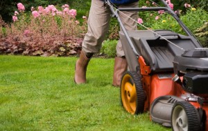 best lawn care companies
