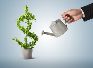 affordable lawn care